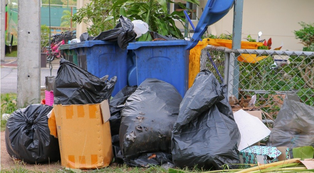 Skip Bin