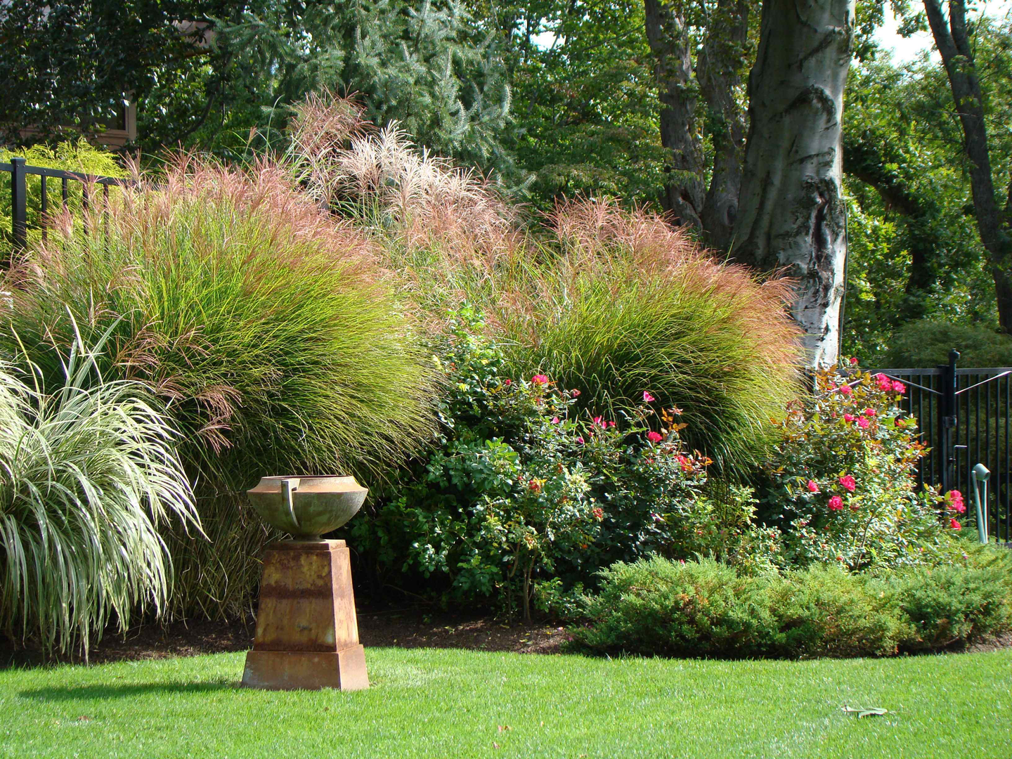 How to Find a Landscaper Designer You Can Trust