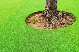 Why You Should Use K9 Grass in Your Lawn