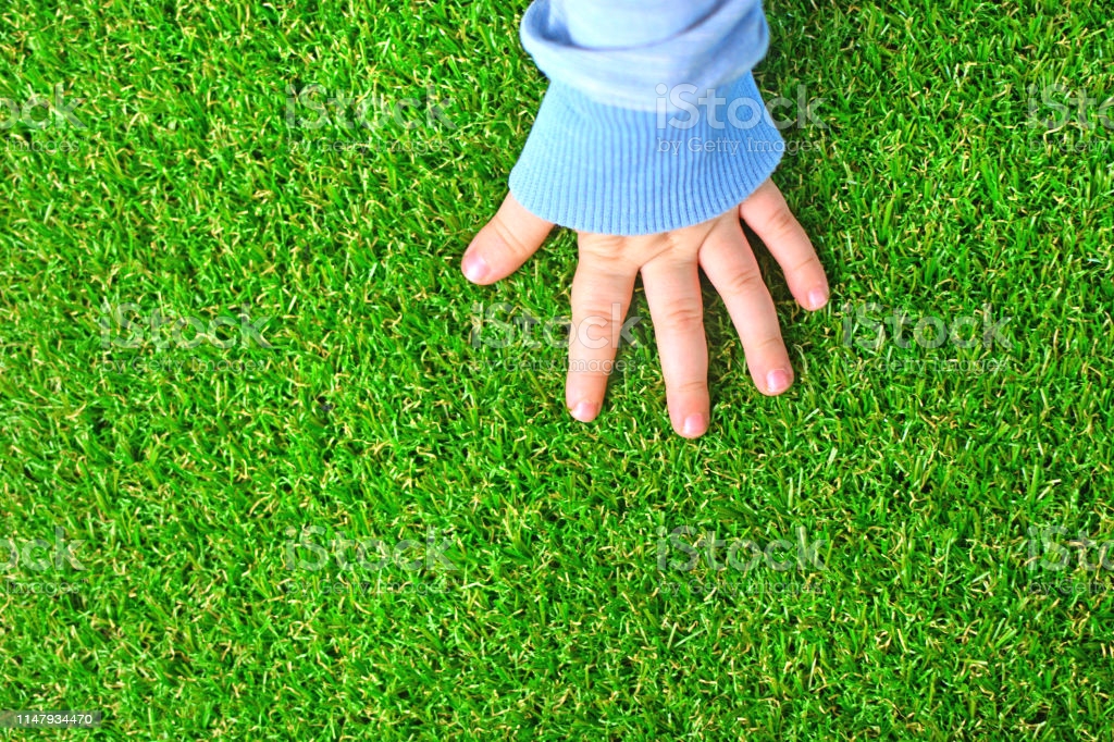 Pros and Cons of Artificial Turf