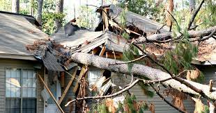Storm Restoration Services: Why Hire a Professional