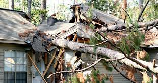 Storm Restoration Services