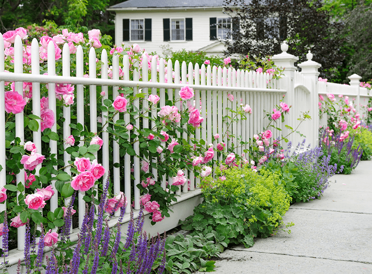 pool fencing Melbourne