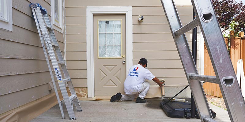 Painter Crows Nest