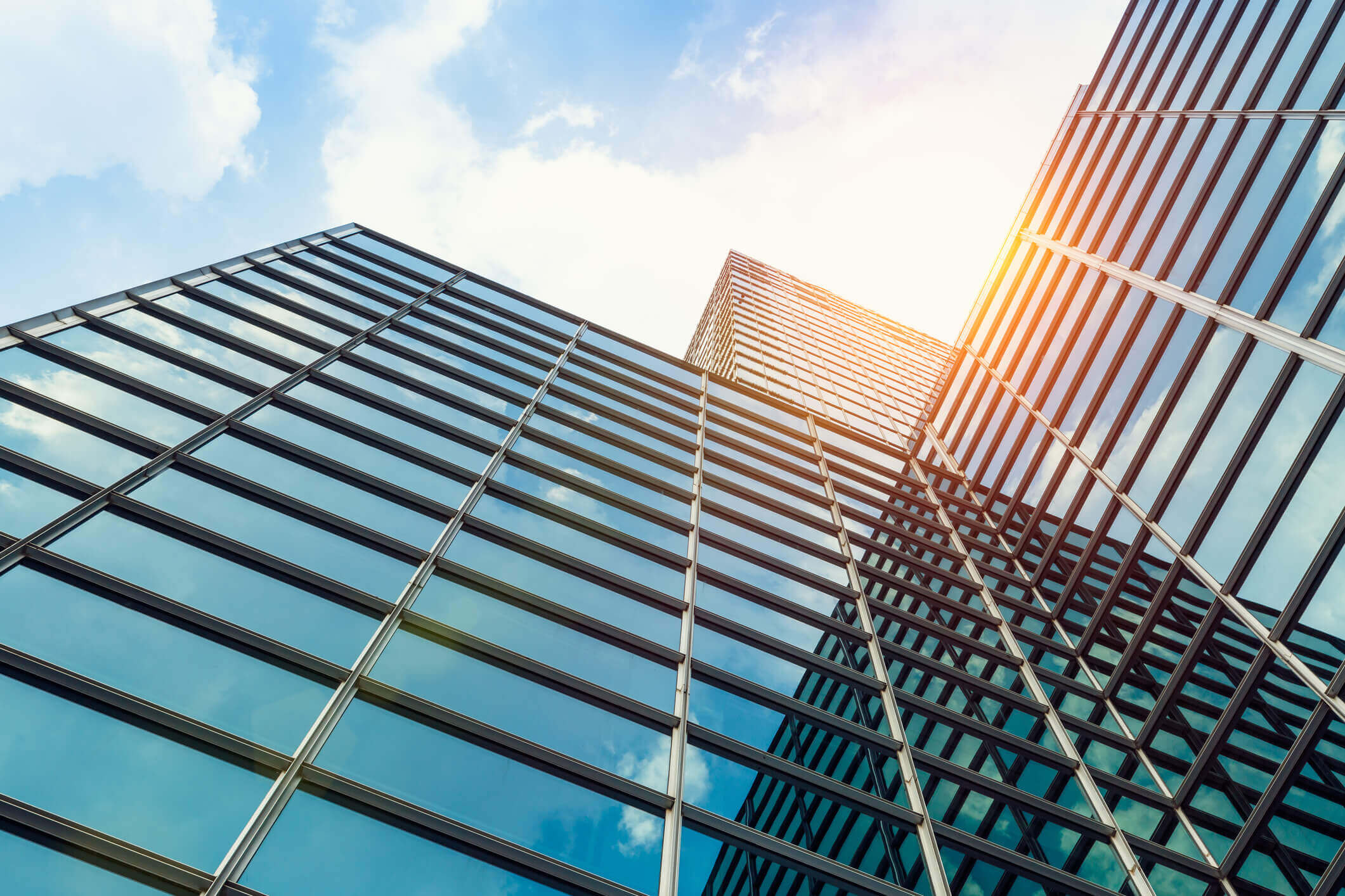 Melbourne Commercial Window Cleaning Services