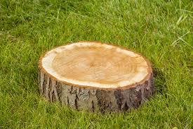 Stump Removal