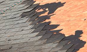 5 Reasons Why Roof Restorations are Essential for Your Home