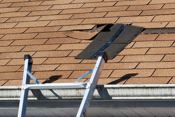 roof repairs Sydenham