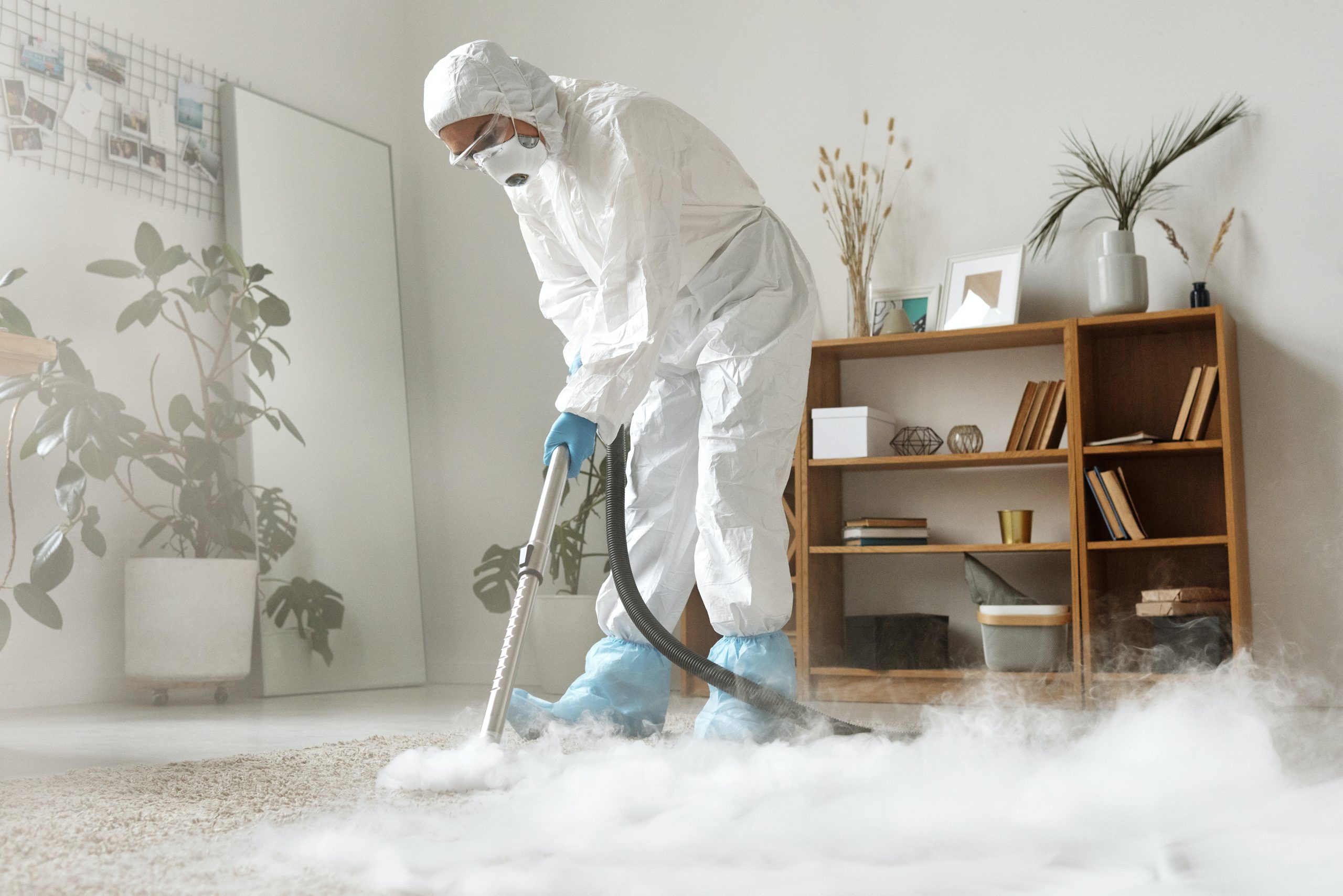 pest control Malvern